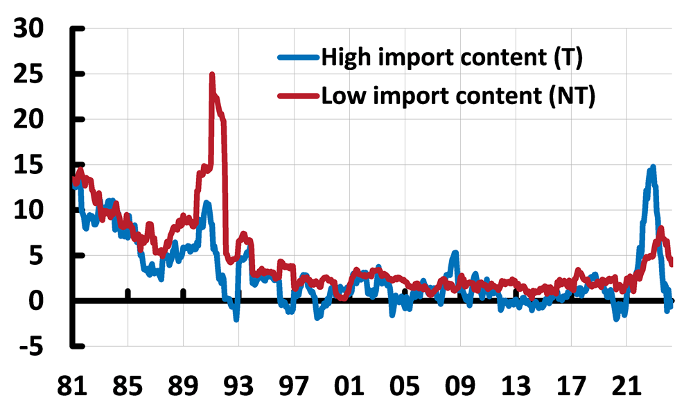 Figure 1. Figure 1. Rate of price increase for product categories with a high and low import content 